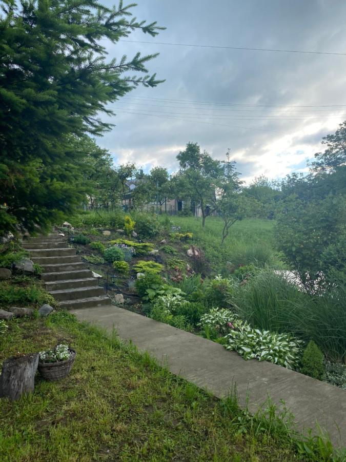 Holiday Home Usadba Novoselitsa Novoselitsa  Bagian luar foto