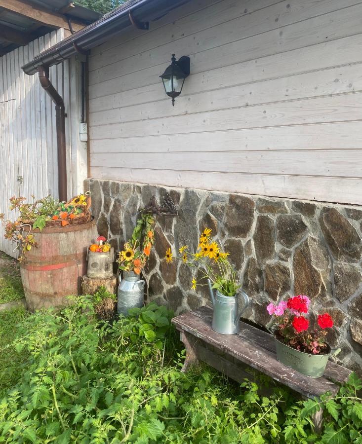 Holiday Home Usadba Novoselitsa Novoselitsa  Bagian luar foto