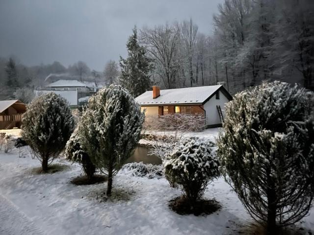 Holiday Home Usadba Novoselitsa Novoselitsa  Bagian luar foto