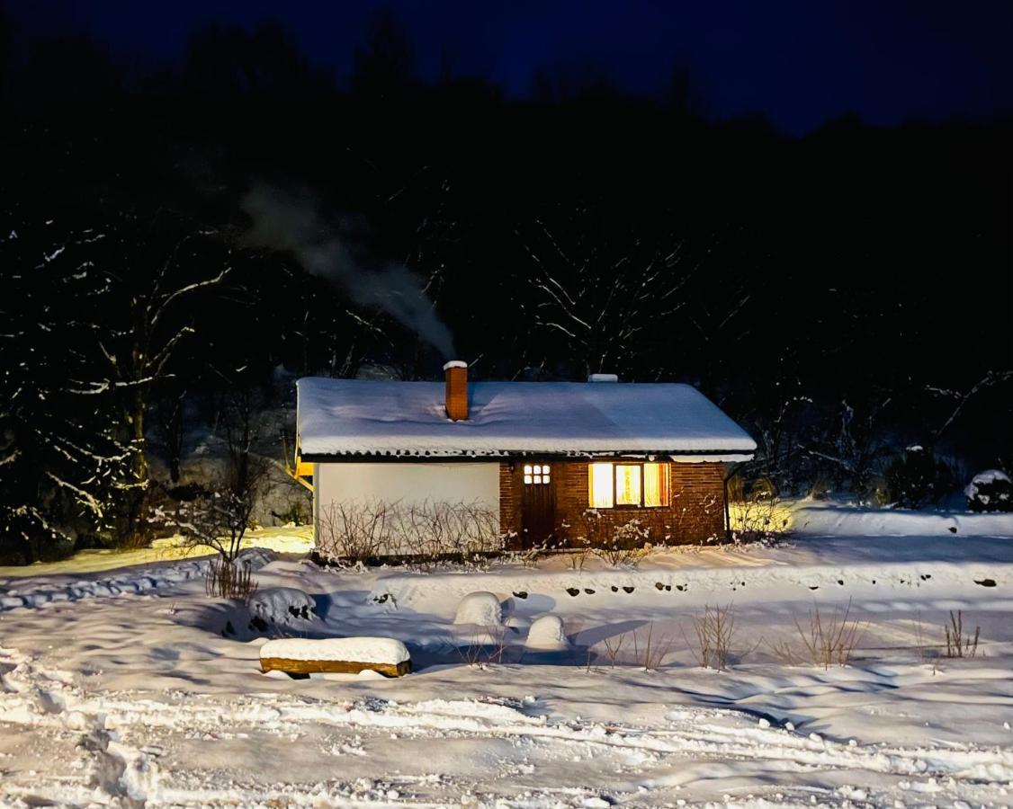 Holiday Home Usadba Novoselitsa Novoselitsa  Bagian luar foto
