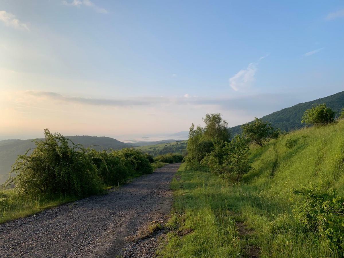 Holiday Home Usadba Novoselitsa Novoselitsa  Bagian luar foto